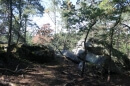 bois du sud-ouest de Milly